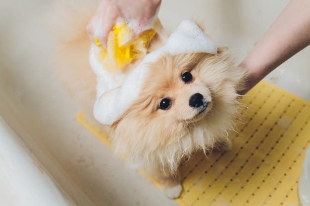 Best shampoo for puppies