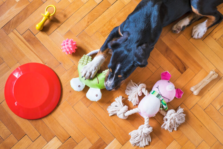 Happier Canines, Enriched Lives